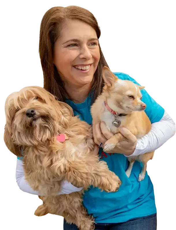About-Veras-Posh-Paws-Doggy-Daycare-in-OKC About-Veras-Posh-Paws-Doggy-Daycare-in-OKC