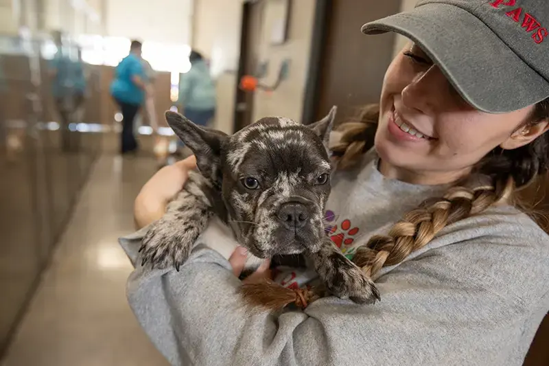 Vera's Posh Paws employee holding a dog inside on a rainy day.